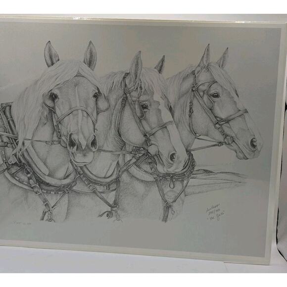 Sue Rupp Horses Pencil Drawing ‘The Girls' Signed Numbered 295/950 - Picture 5 of 10